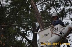 Entergy 055